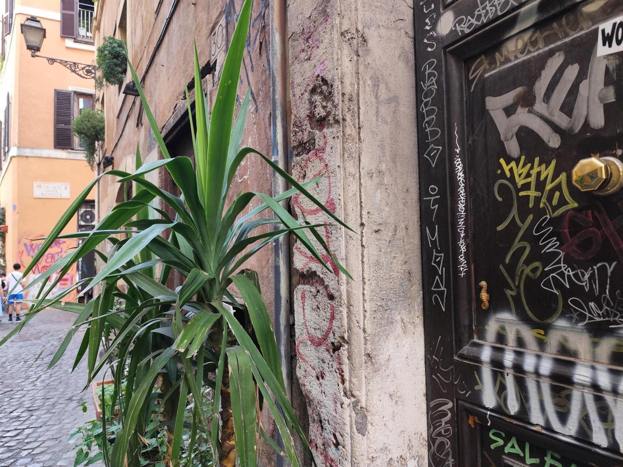 Casa Ludovica Trastevere روما المظهر الخارجي الصورة