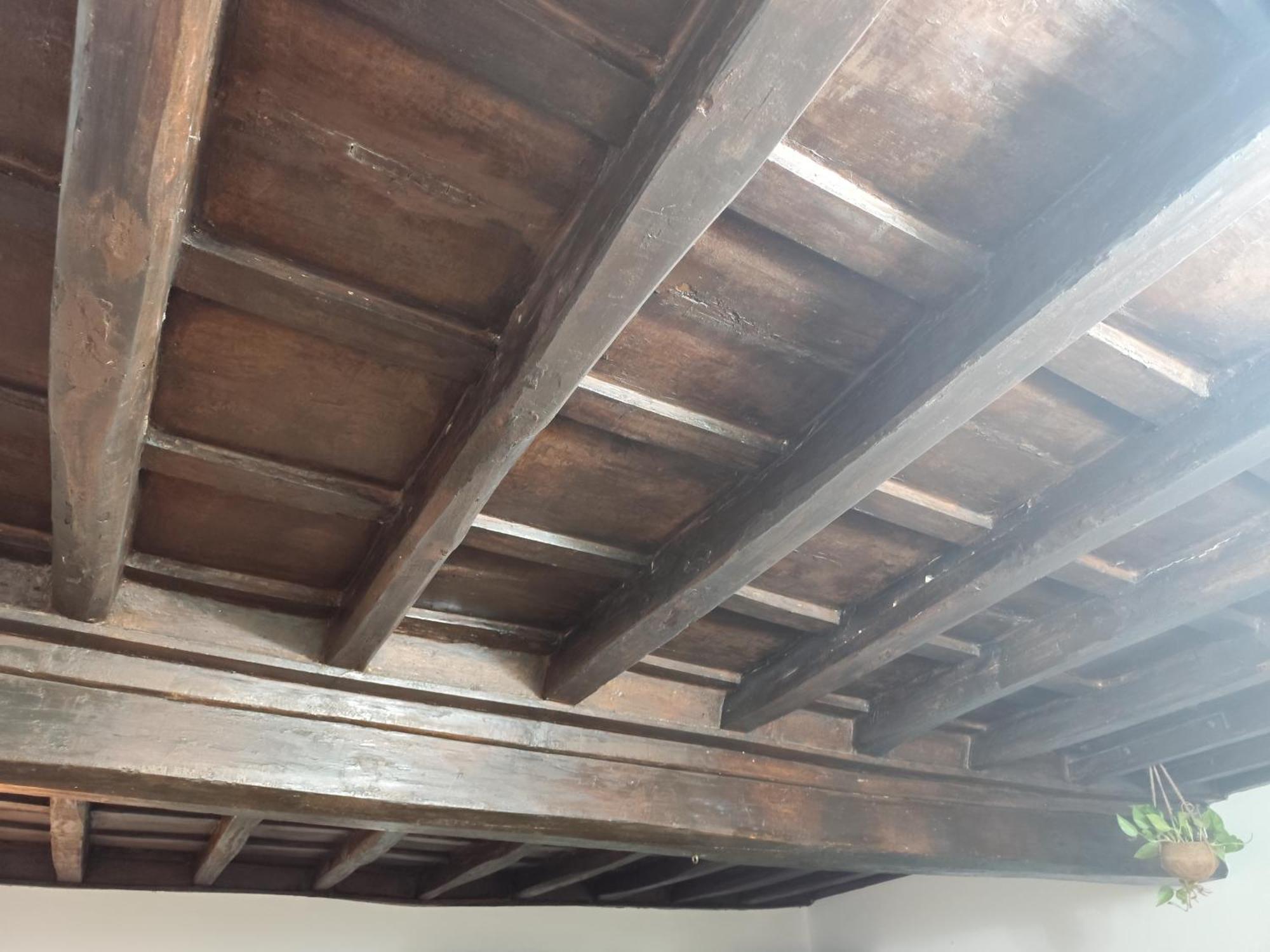 Casa Ludovica Trastevere روما المظهر الخارجي الصورة